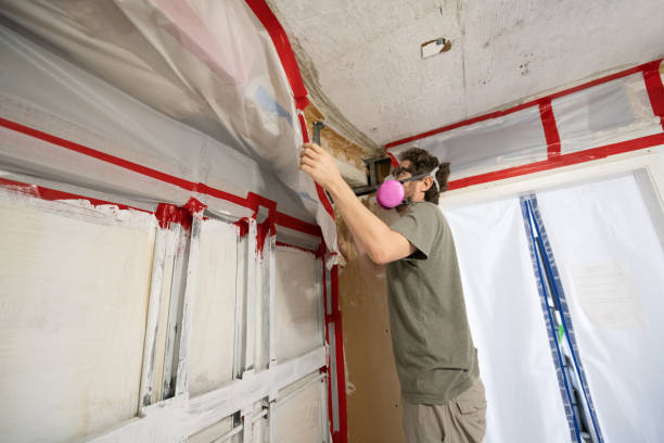 Hollywood, SC Mold Inspection, Removal & Remediation Company